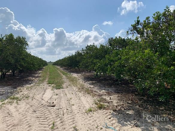 Murphy Road, Bartow, FL 33830